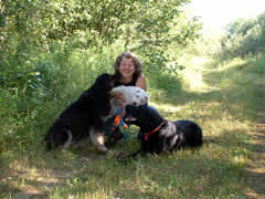 Mann's Best Friend - Dog Boarding Kennels, Greater Sudbury Ontario